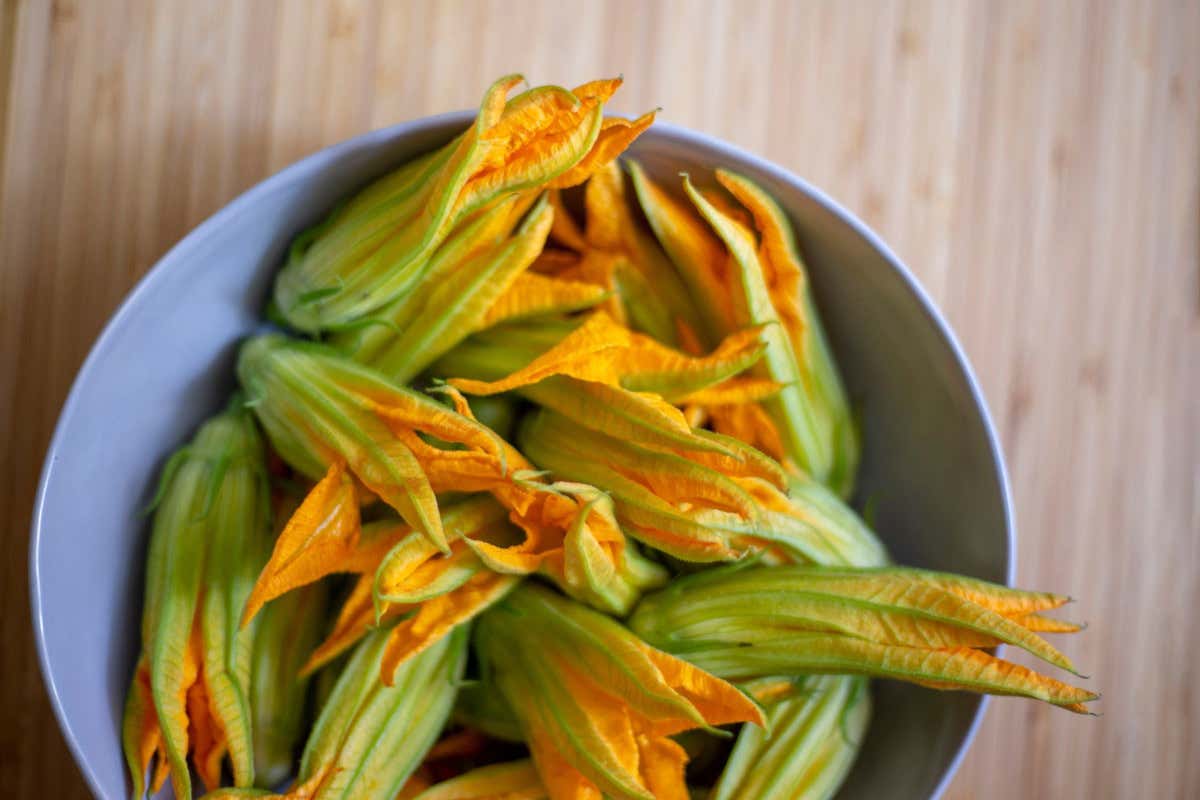Poche calorie, ricchi di fibre e vitamine: i benefici dei fiori di zucca Poche calorie, ricchi di fibre e vitamine: i benefici dei fiori di zucca
