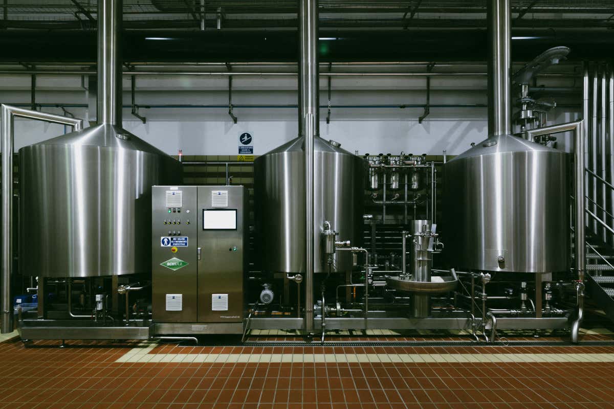 A Fabriano la birra nasce dai campi: orzo, canapa e una filiera che parte dalla terra A Fabriano la birra nasce dai campi: orzo, canapa e una filiera che parte dalla terra