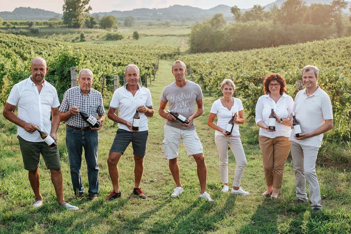 Komjanc, tre secoli di vino a San Floriano raccontati in 15 etichette Komjanc, tre secoli di vino a San Floriano raccontati in 15 etichette