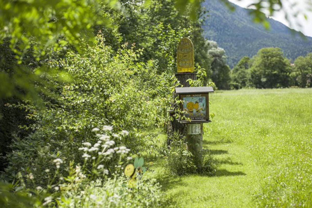 La Tiroler Bienenalm propone esperienze di apiterapia all’aria aperta