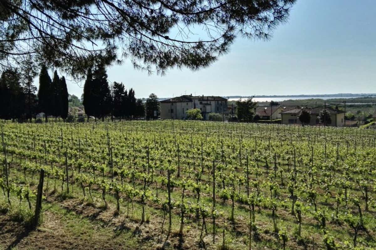 Emilia in rosa: l'11ª tappa del Giro d'Italia tra Viareggio e Castelnovo ne' Monti