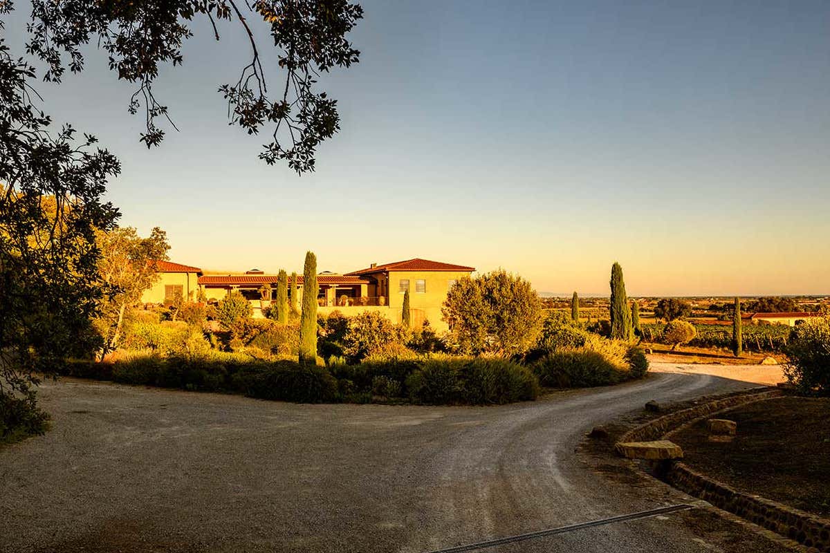 BWW 2025, Gaja, Ornellaia, Monteverro, G.B. Burlotto, Antinori tra le migliori cantine al mondo BWW 2025, Gaja, Ornellaia, Monteverro, G.B. Burlotto, Antinori tra le migliori cantine al mondo