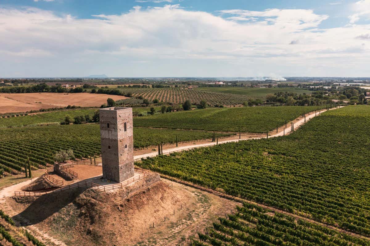 Diversificazione e acquisizioni: le mosse chiave dei gruppi vinicoli italiani