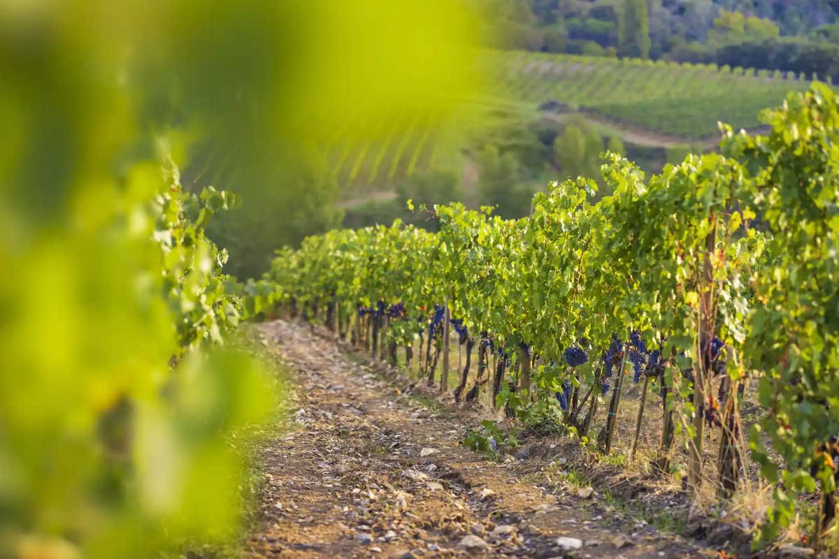 Umbria in rosa: la 9ª tappa del Giro d'Italia tra Gubbio e Siena