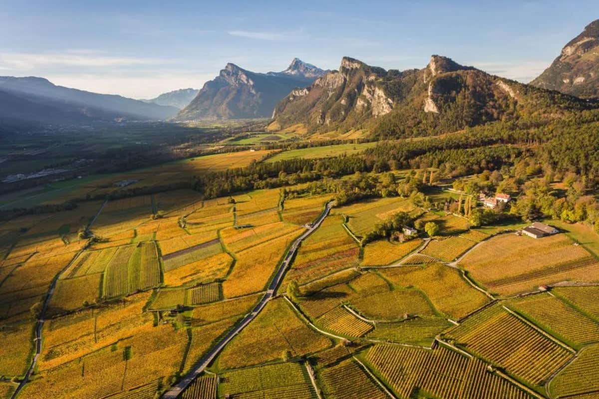 Vini d’alta quota: l’Engadina raccontata attraverso i suoi calici Vini d’alta quota: l’Engadina raccontata attraverso i suoi calici