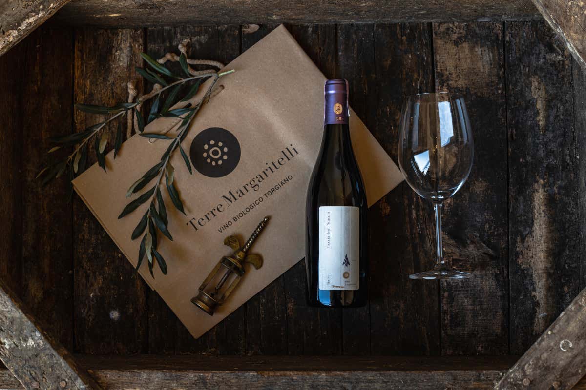 In Umbria il vino parla di legno e sostenibilità: la rinascita di Terre Margaritelli