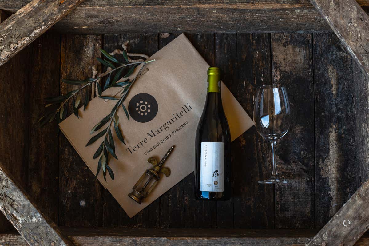 In Umbria il vino parla di legno e sostenibilità: la rinascita di Terre Margaritelli
