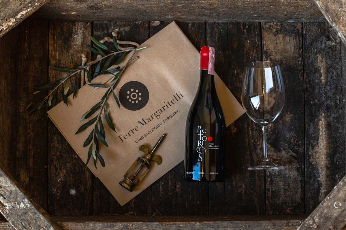In Umbria il vino parla di legno e sostenibilità: la rinascita di Terre Margaritelli