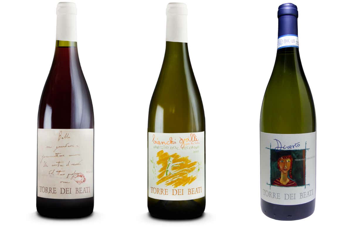 Dalla freschezza dei bianchi alla profondità dei rossi: il percorso di Torre dei Beati Dalla freschezza dei bianchi alla profondità dei rossi: il percorso di Torre dei Beati