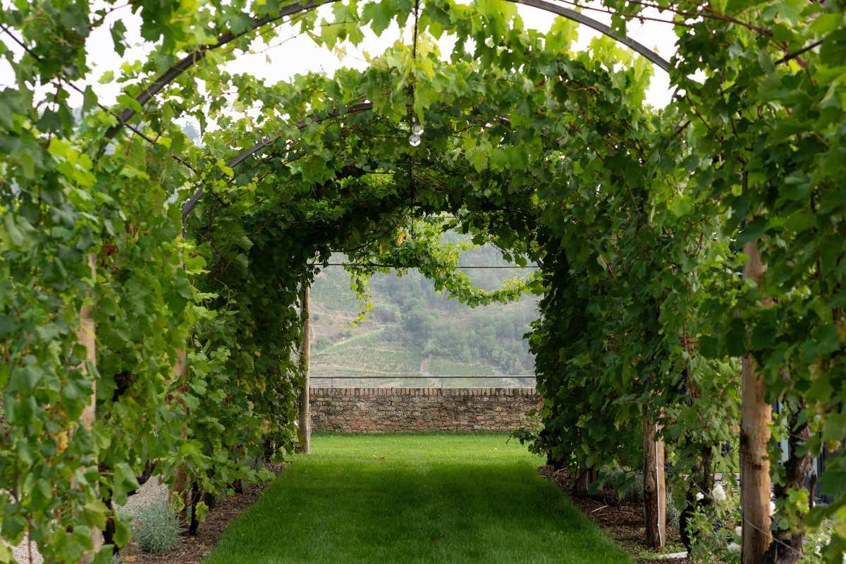 Vigne di Fagnano: ospitalità su misura nel nuovo Country Relais nelle Langhe