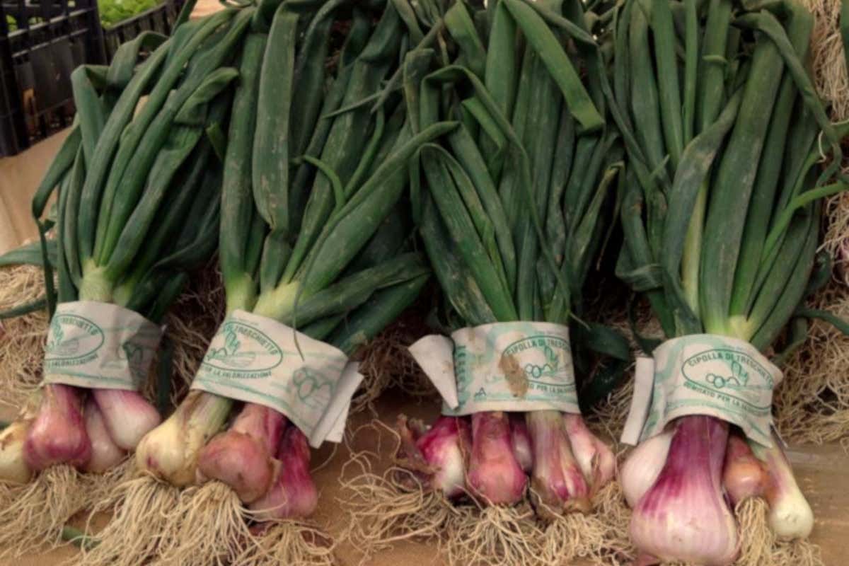 Calendimaggio: tra riti e stagionalità, i piatti che segnano l’inizio della primavera