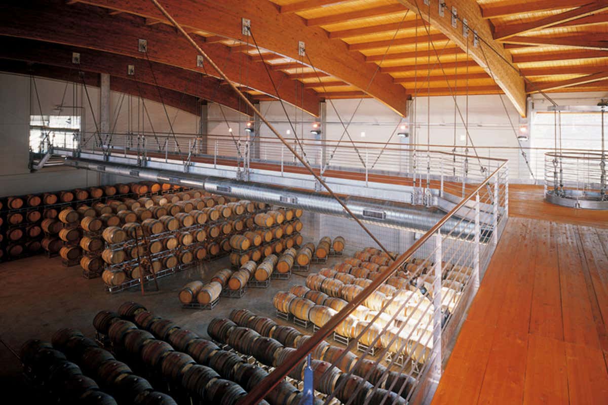 Vite Colte: in cantina, l’approccio segue una linea improntata alla precisione