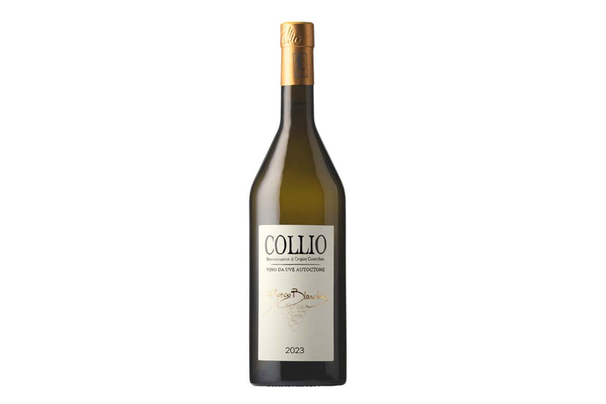 Bordolesi storici e bianchi friulani: il filo che unisce Montello e Collio