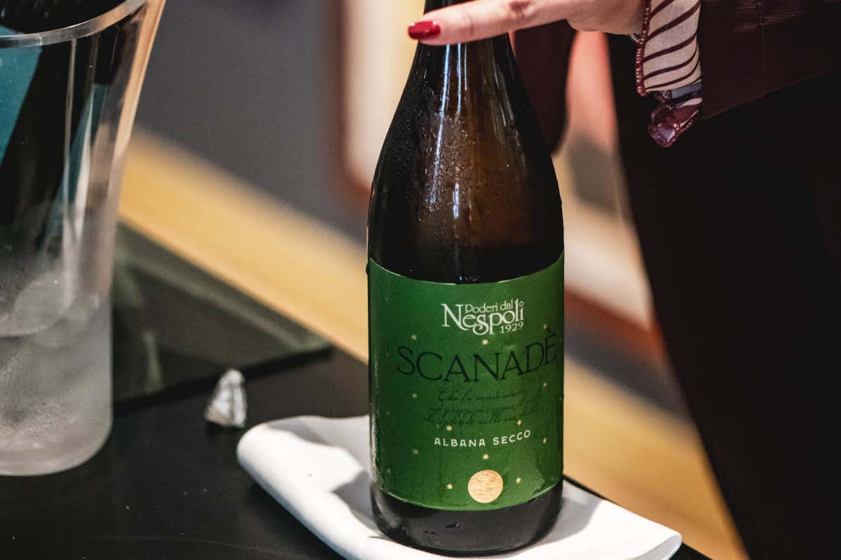 Vini italiani in scena a Milano: Argea Day tra degustazioni e storie di cantine Vini italiani in scena a Milano: Argea Day tra degustazioni e storie di cantine