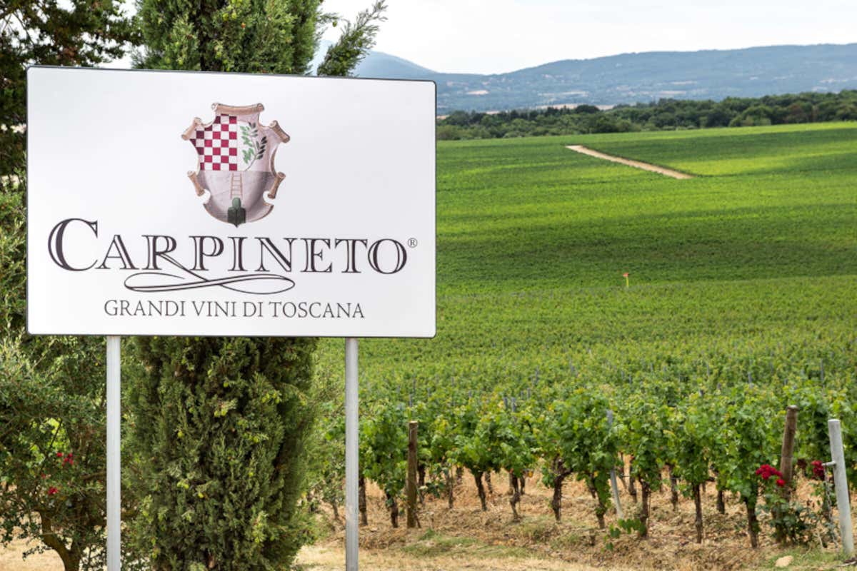 Carpineto si unisce a The Grand Wine Tour Carpineto si unisce a The Grand Wine Tour: il network si amplia a 14 cantine