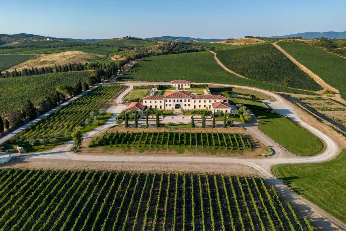 30 anni di Val delle Rose: la scommessa di Cecchi sulla Maremma che ha cambiato il vino 30 anni di Val delle Rose: la scommessa di Cecchi sulla Maremma che ha cambiato il vino