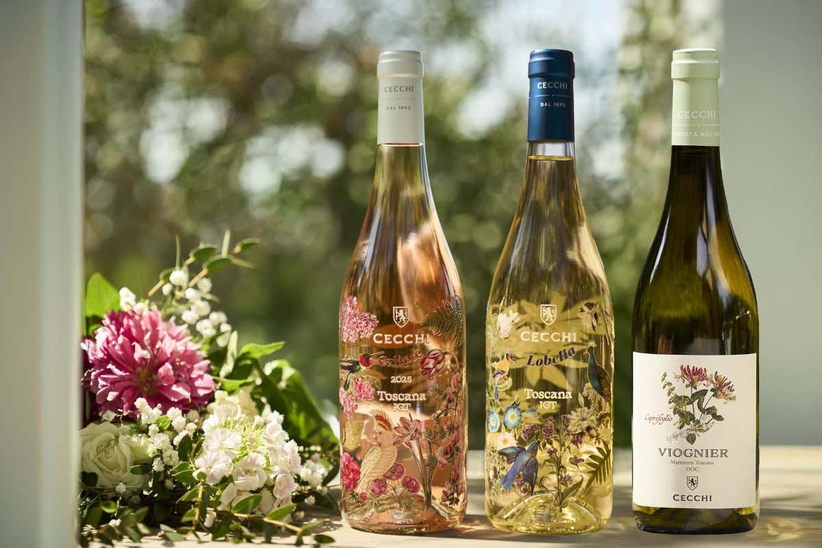 30 anni di Val delle Rose: la scommessa di Cecchi sulla Maremma che ha cambiato il vino 30 anni di Val delle Rose: la scommessa di Cecchi sulla Maremma che ha cambiato il vino