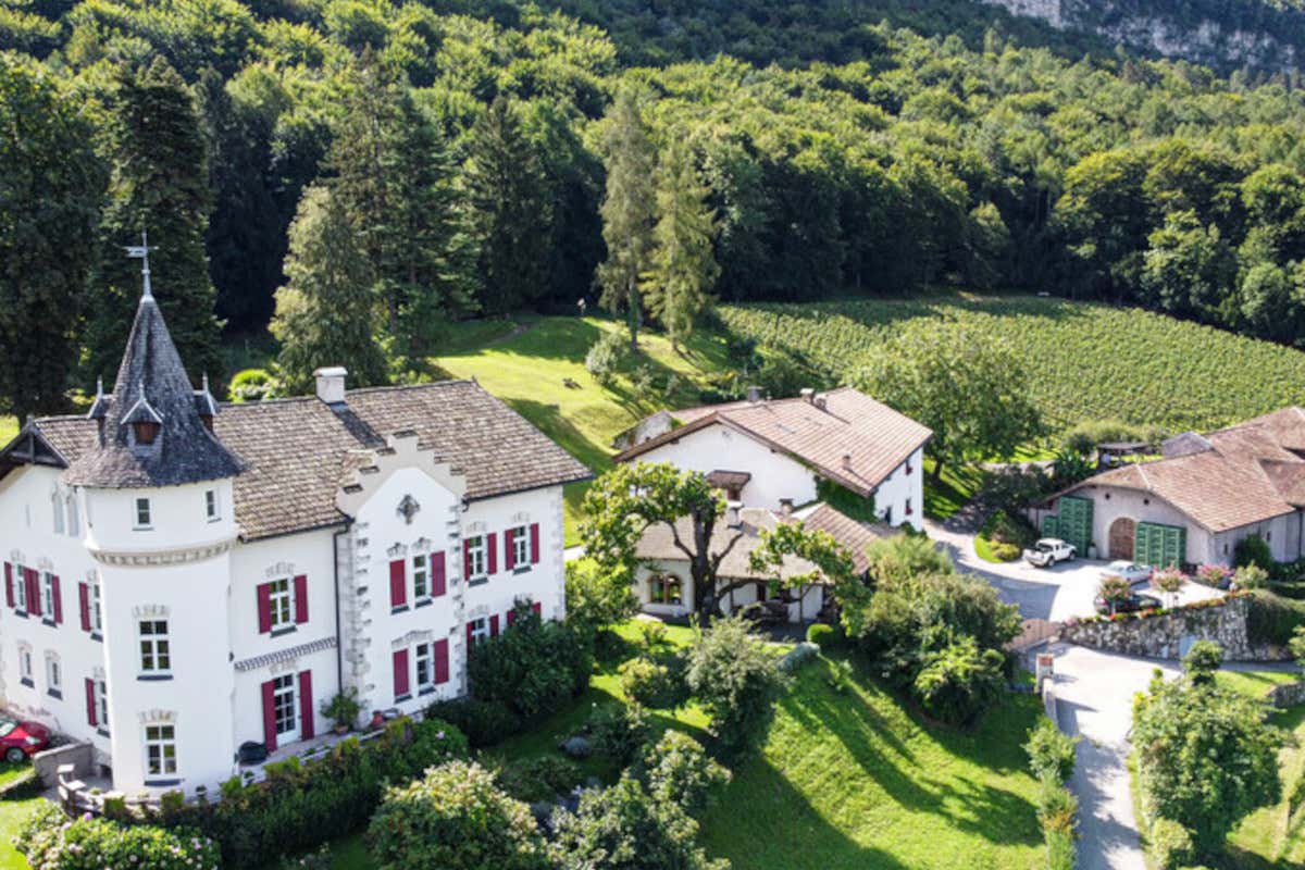 Partesa amplia il portfolio vini con cinque nuove cantine italiane