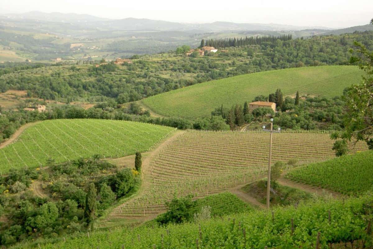 Partesa amplia il portfolio vini con cinque nuove cantine italiane