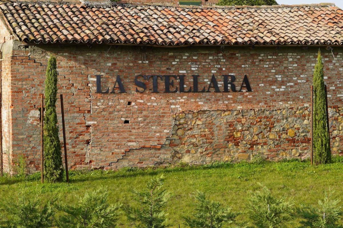 Partesa amplia il portfolio vini con cinque nuove cantine italiane