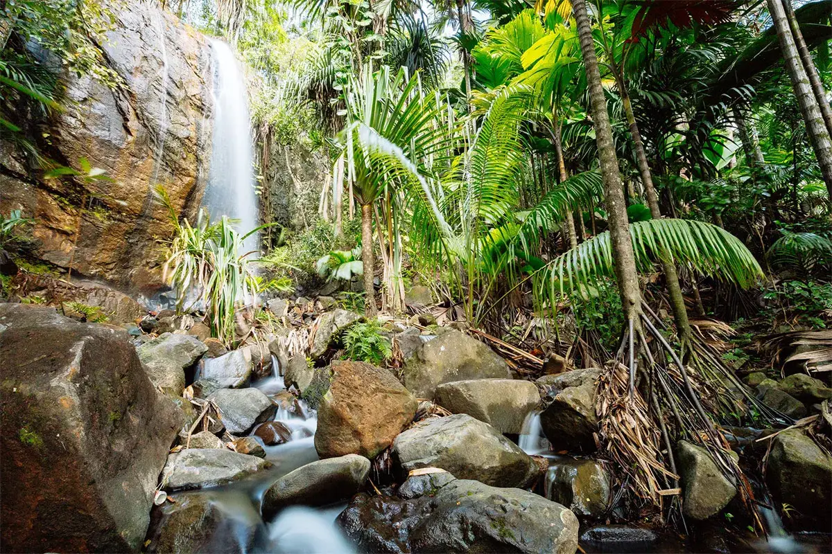 Praslin: la Cascata Vallee De Mai Un viaggio alle Seychelles&nbsp; per un&rsquo;identit&agrave; sostenibile
