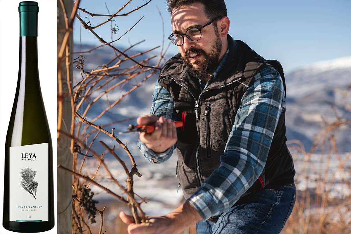 Weingut Leya Pellegrini, tante novit&agrave; in catalogo per scommettere sulla ripartenza
