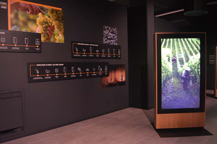 Il percorso si snoda su una superficie di mille metri quadrati (Wine Experience, Mondodelvino ripercorre la storia della viticoltura) Il percorso si snoda su una superficie di mille metri quadrati (Wine Experience, Mondodelvino ripercorre la storia della viticoltura)