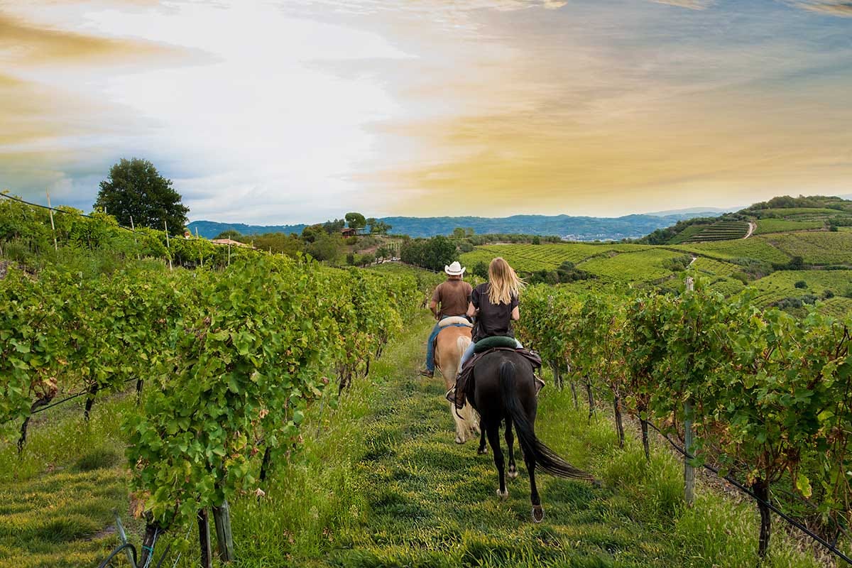 A cavallo tra le vigne di Rocca Sveva Cantina Rocca Sveva campione di esperienze innovative al Best of Wine Tourism