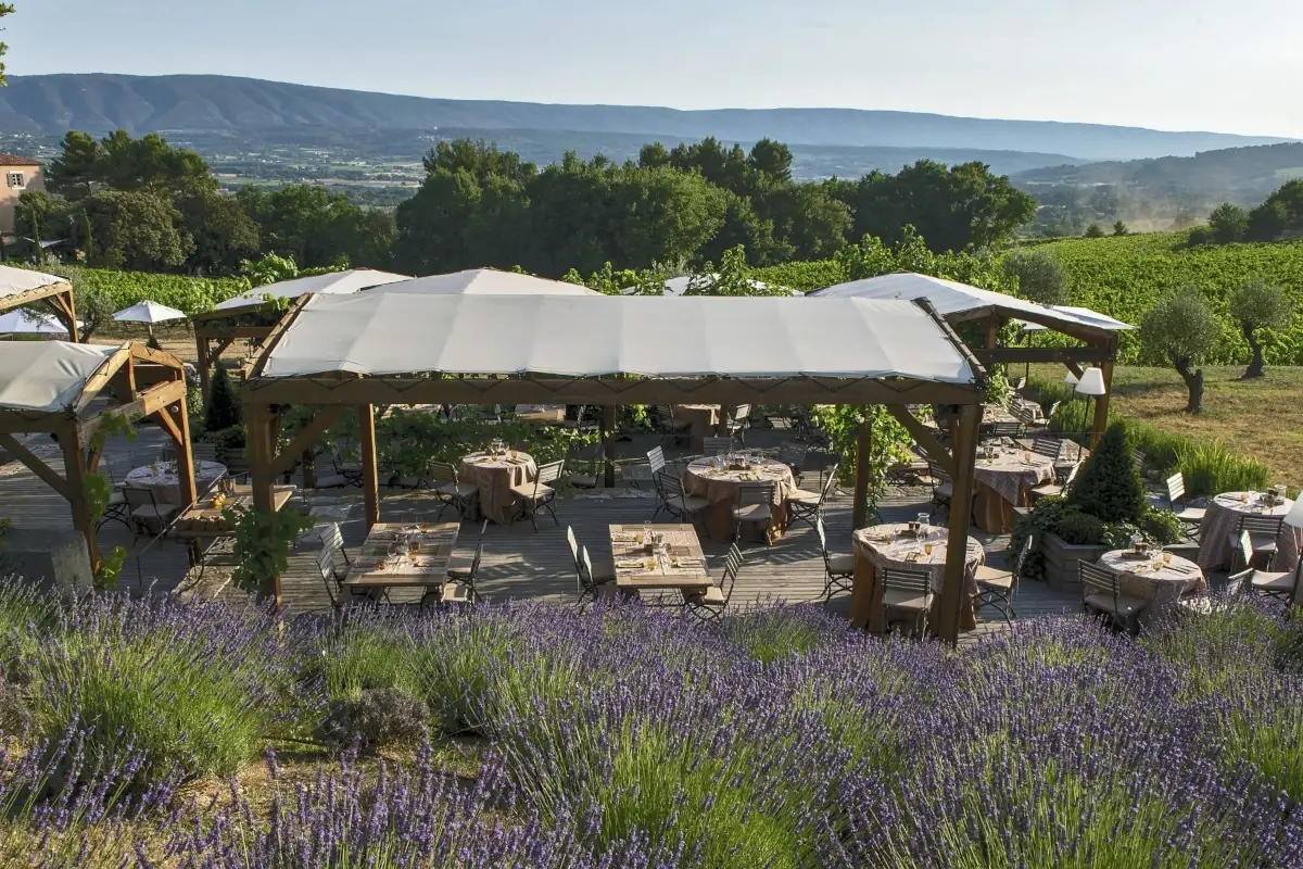Coquillade Provence Resort Autunno tra le vigne: le tenute pi&ugrave; belle per un weekend di charme e brindisi