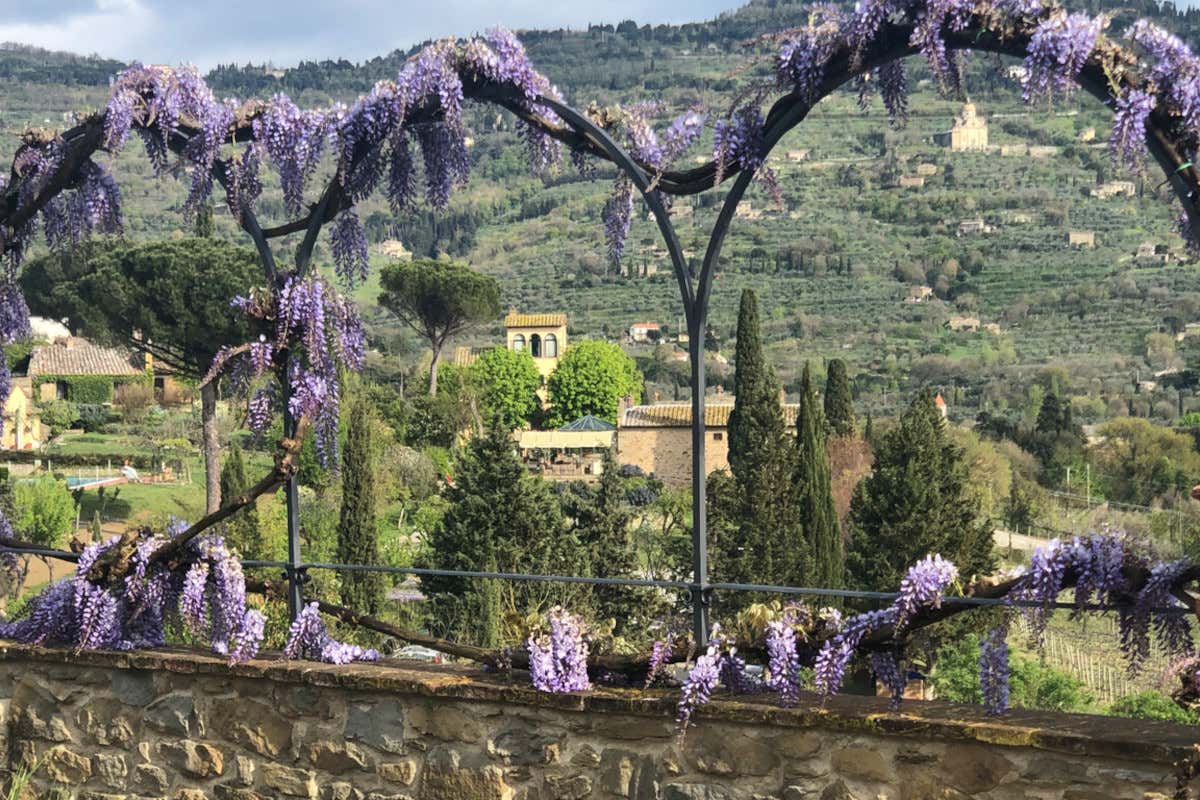 Il Falconiere Autunno tra le vigne: le tenute più belle per un weekend di charme e brindisi