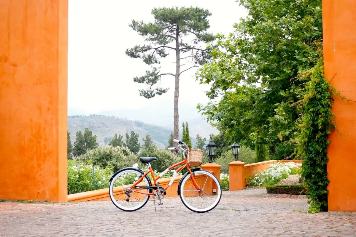 La Residence Franschhoek Autunno tra le vigne: le tenute pi&ugrave; belle per un weekend di charme e brindisi
