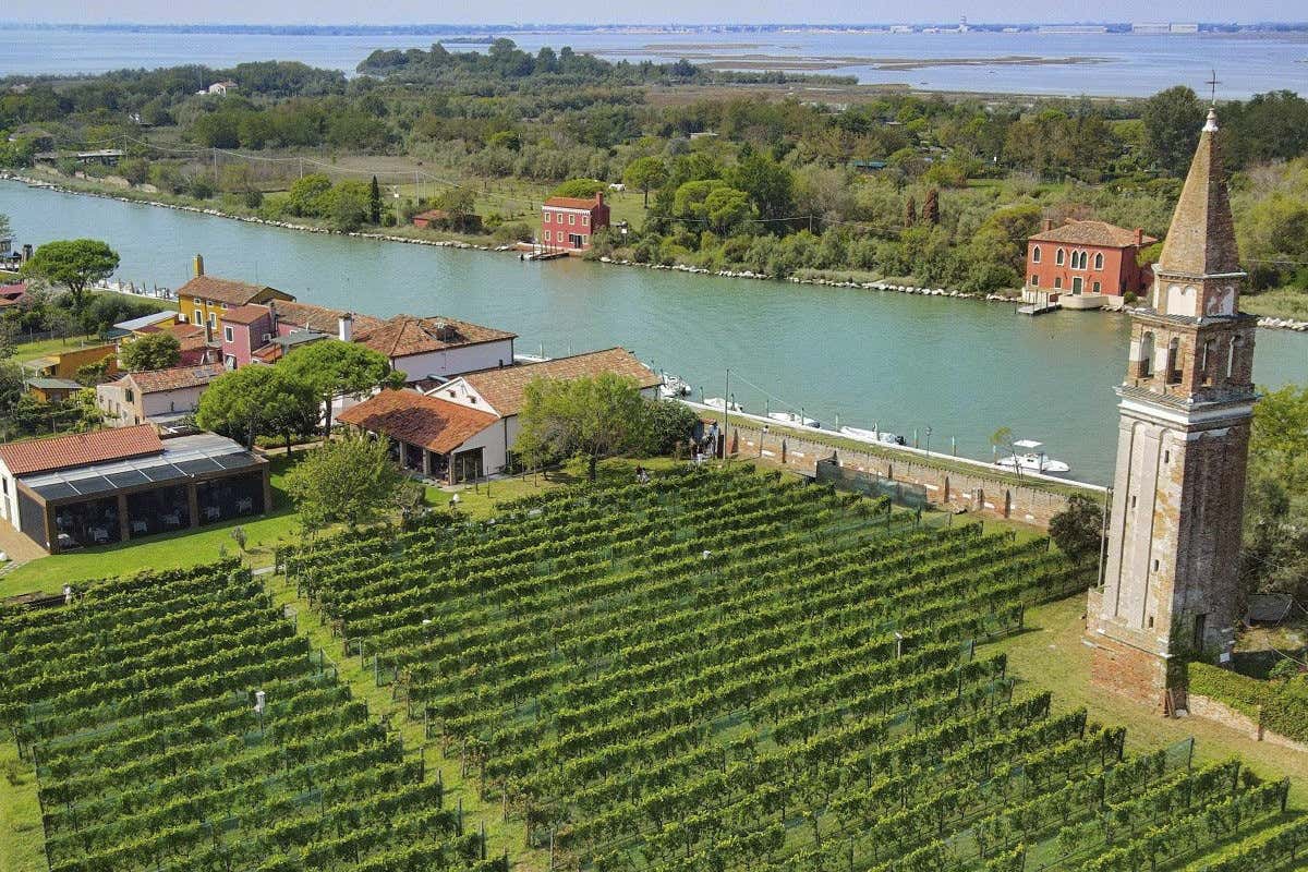 Venissa Autunno tra le vigne: le tenute più belle per un weekend di charme e brindisi