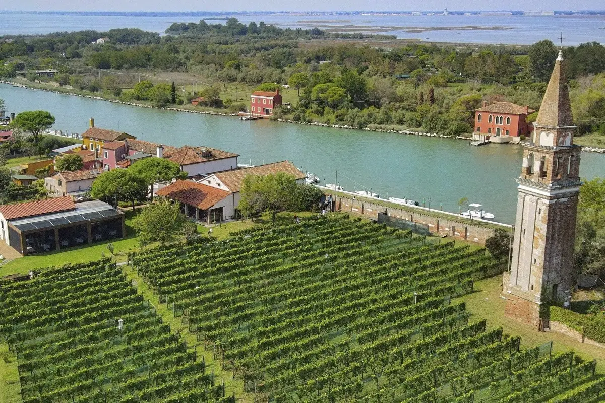 I 150 vigneti pi&ugrave; belli del mondo: 15 sono italiani