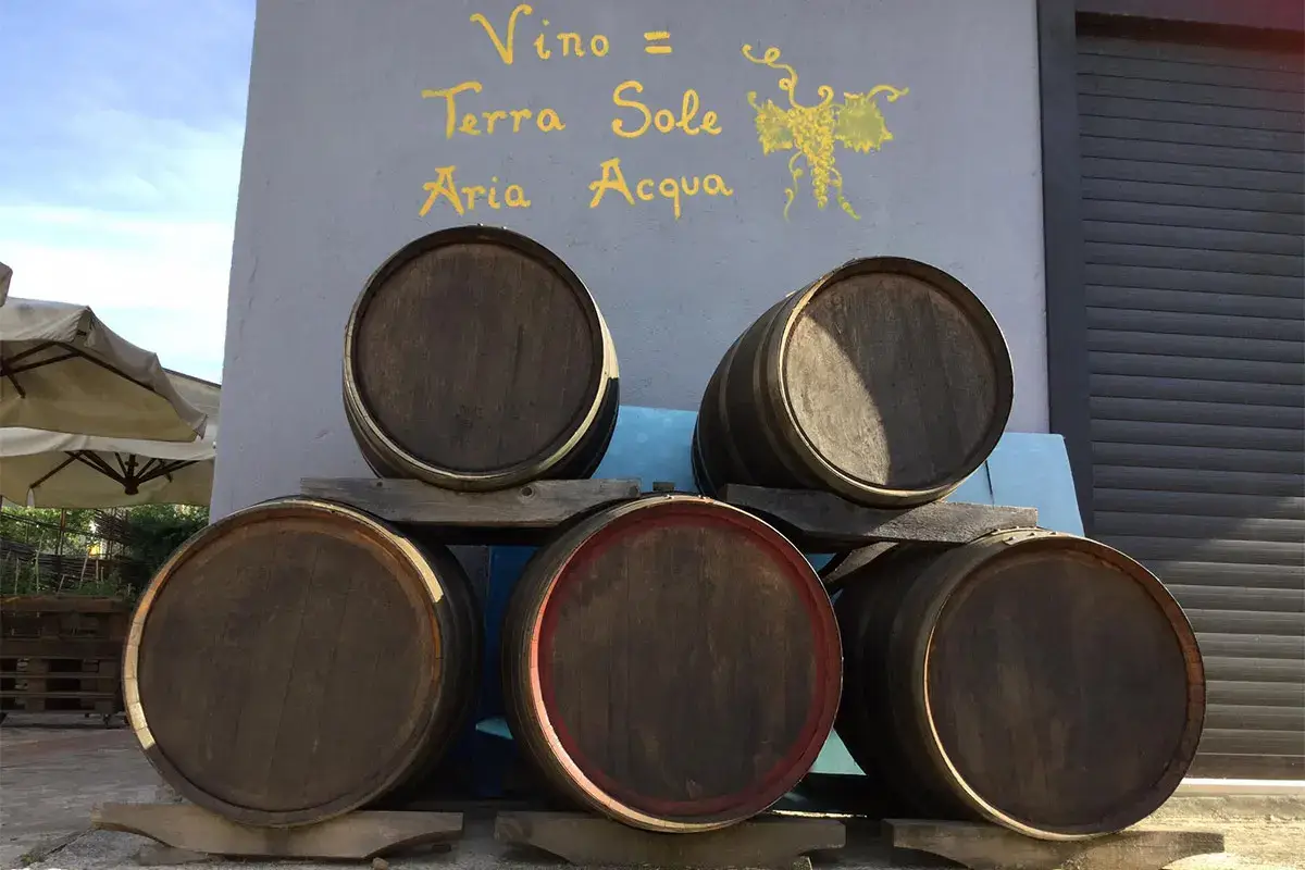 Le cantine sono state selezionate accuratamente da WineTour