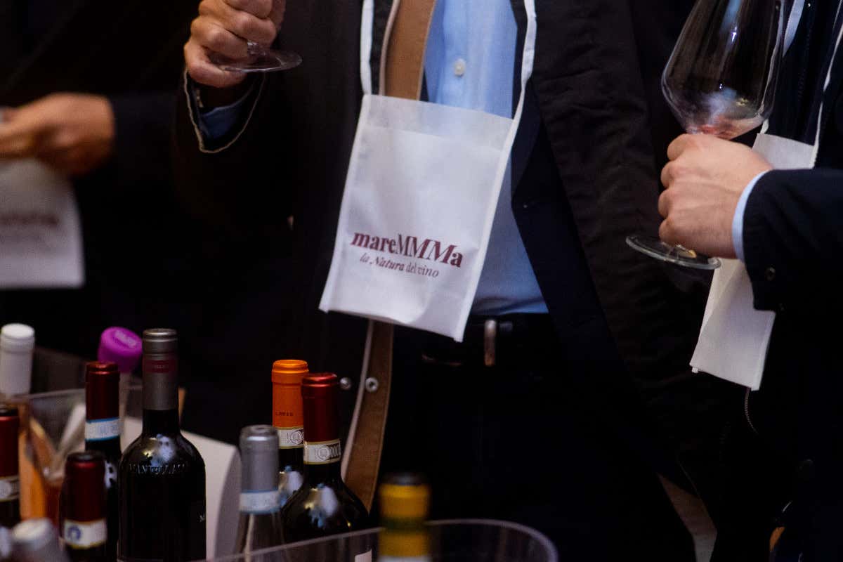 La nuova Maremma del vino: piccole cantine, grandi storie e una biodiversità unica in Italia