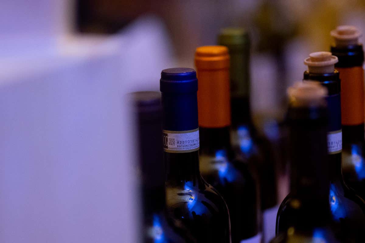 La nuova Maremma del vino: piccole cantine, grandi storie e una biodiversità unica in Italia