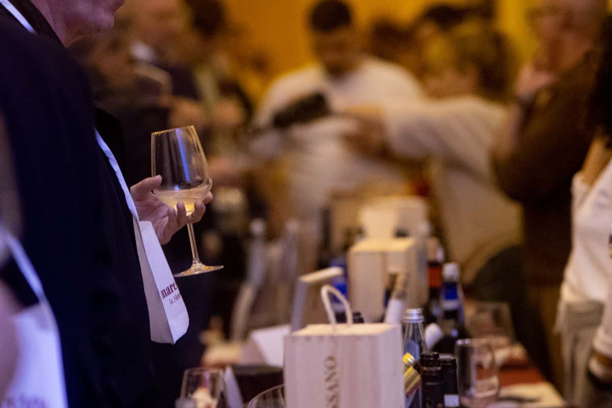 La nuova Maremma del vino: piccole cantine, grandi storie e una biodiversità unica in Italia