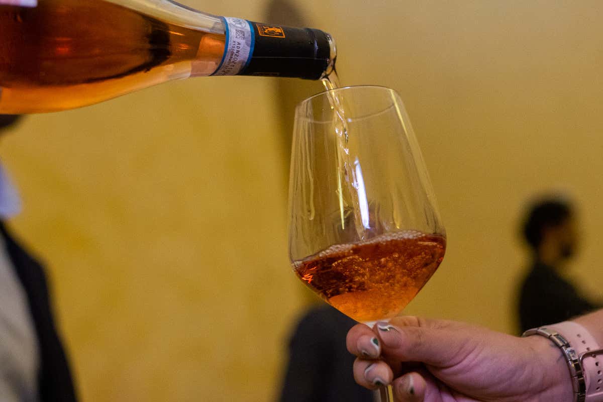 La nuova Maremma del vino: piccole cantine, grandi storie e una biodiversità unica in Italia