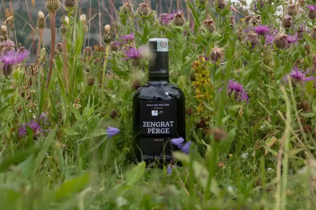 L'amaro del Trentino Zengrat P&egrave;rge Liquori e bevande aromatizzate: un momento magico