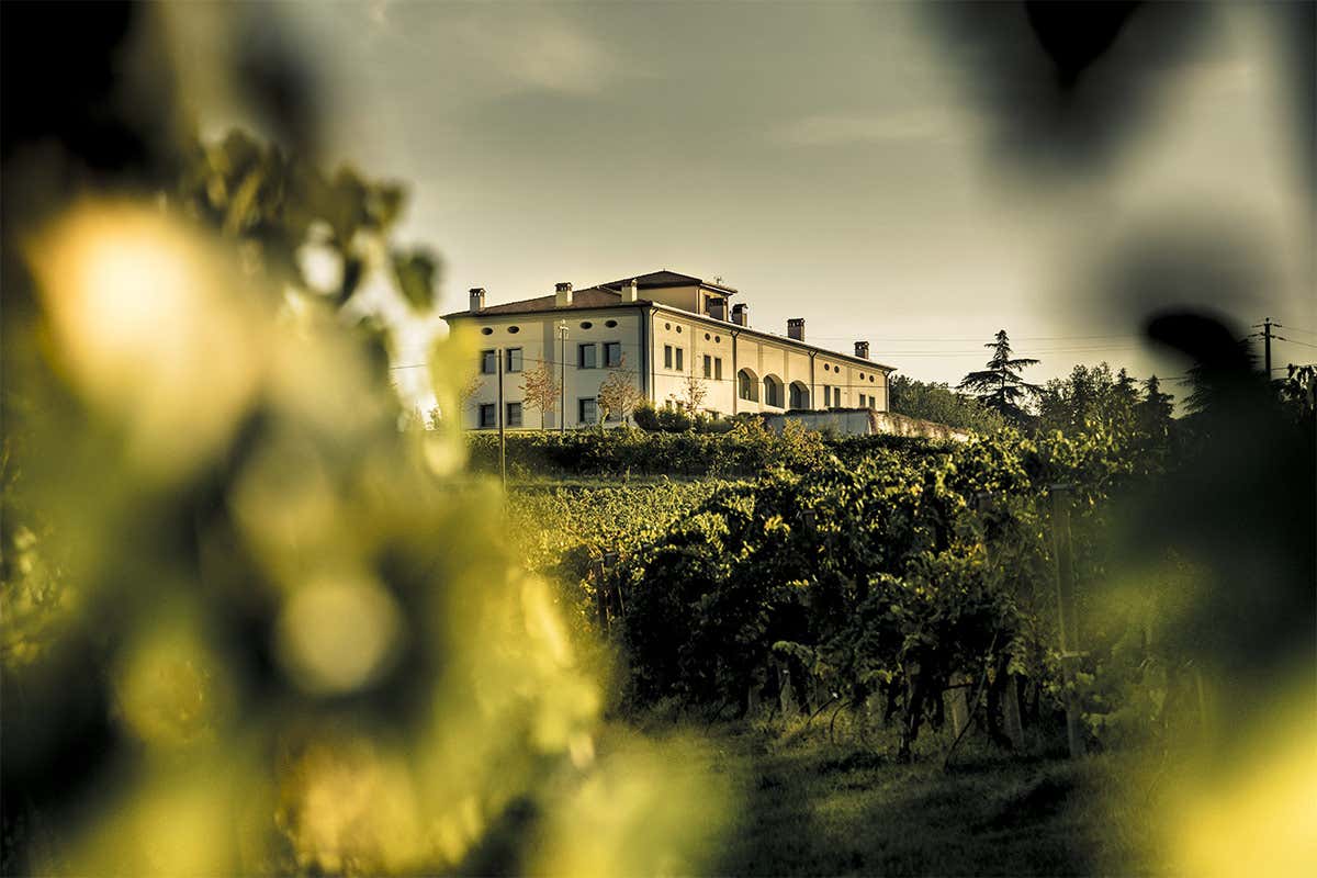 La sede della cantina a Castel San Pietro Terme (Bo) Umberto Cesari Wine Experience Alla scoperta del vigneto Emilia