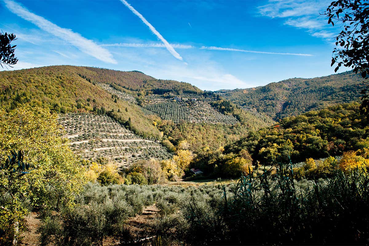 Fattoria di Volmiano si sviluppa su 550 ettari 