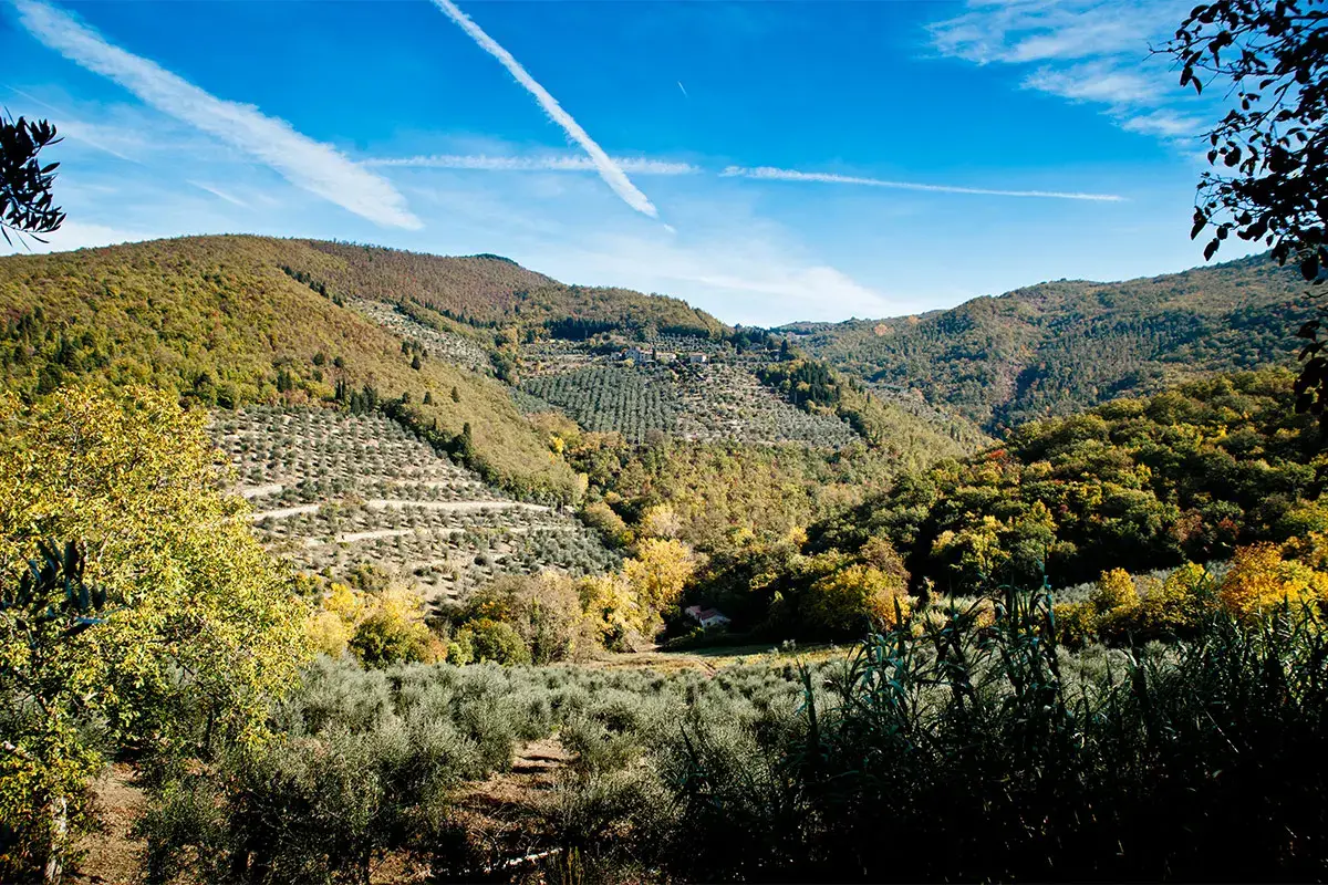 Fattoria di Volmiano si sviluppa su 550 ettari 