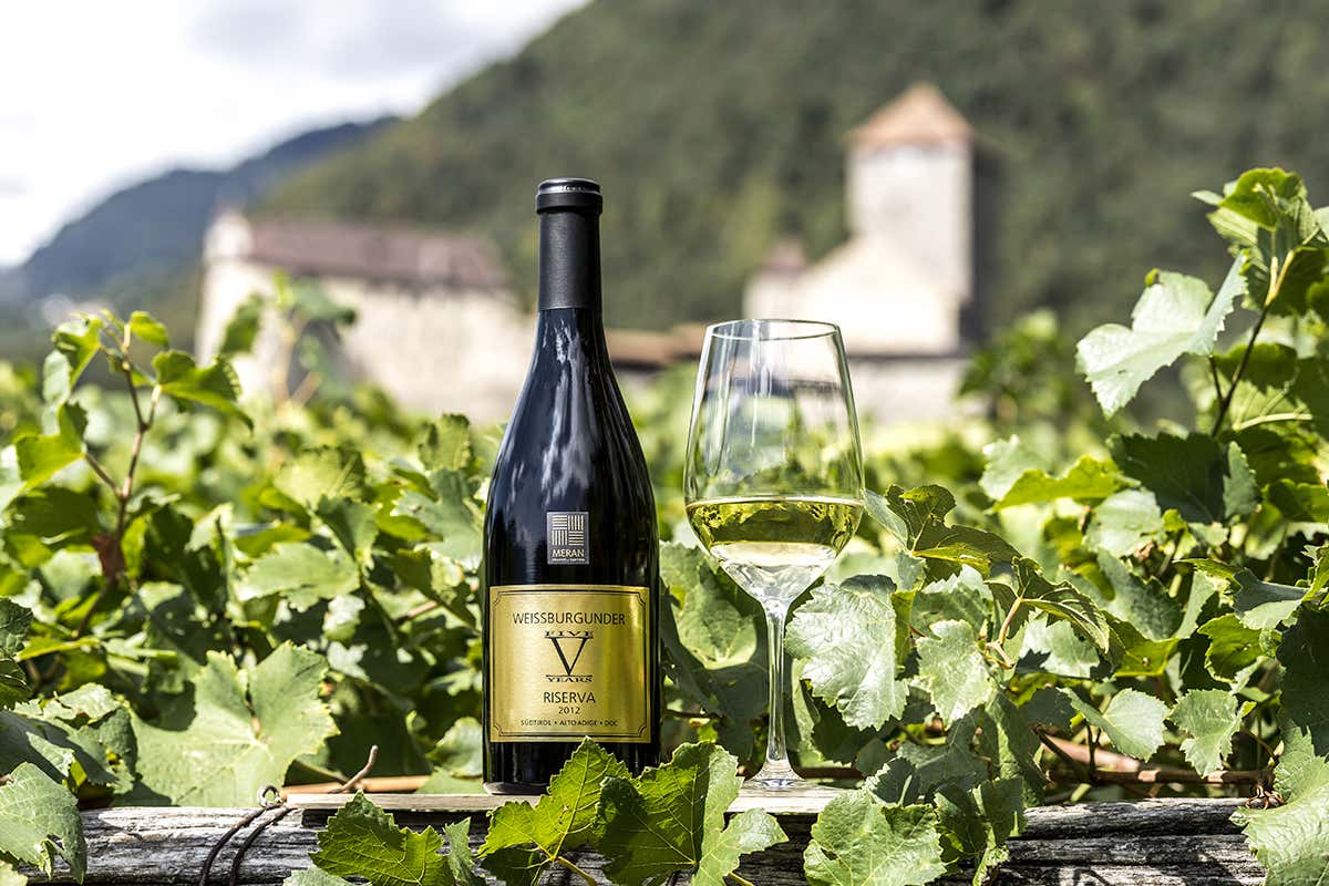 Il pregiato Pinot Bianco (Weissburgunder) della Cantina Merano, i cui storici vigneti si sviluppano proprio nei pressi del suggestivo Castello di Tirolo