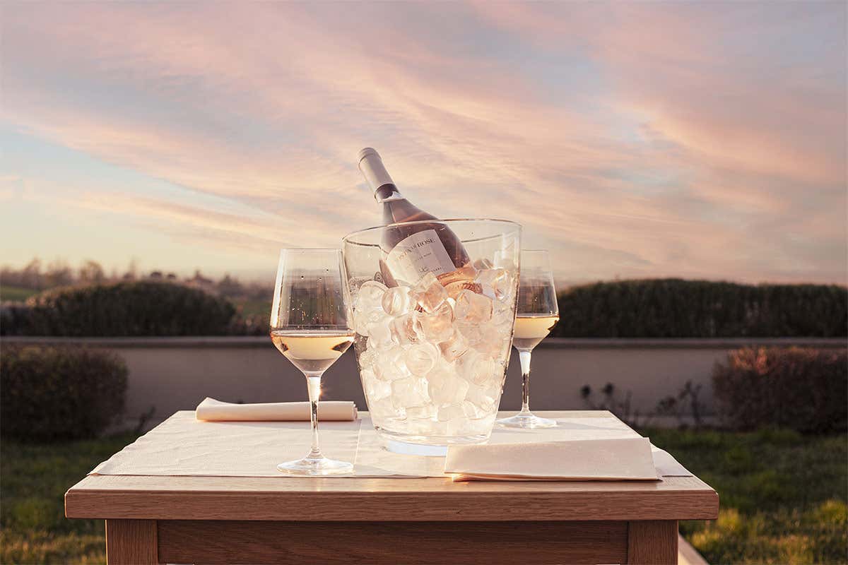 Sempre molto apprezzate le degustazioni in vigna Umberto Cesari Wine Experience Alla scoperta del vigneto Emilia