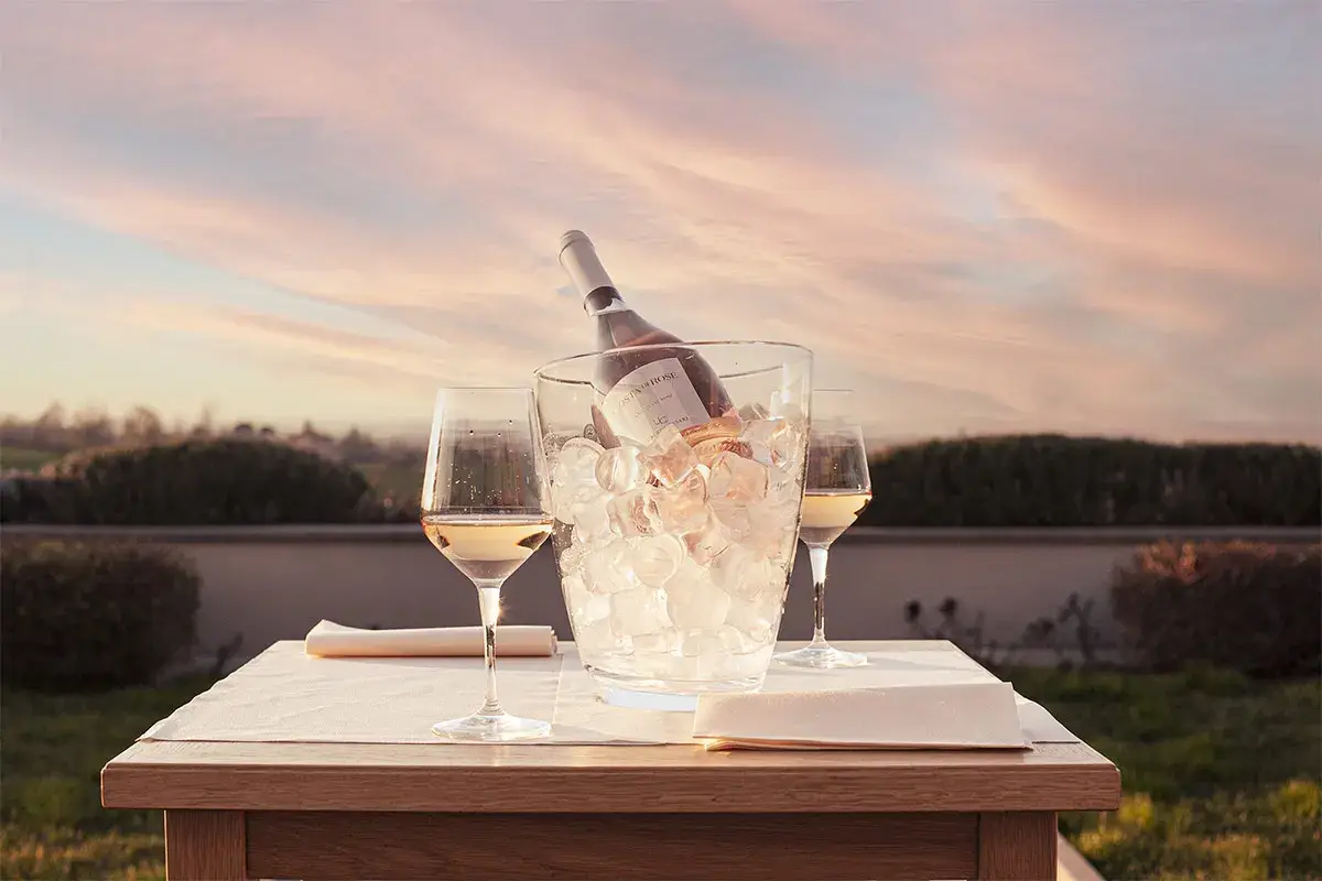 Sempre molto apprezzate le degustazioni in vigna Umberto Cesari Wine Experience Alla scoperta del vigneto Emilia