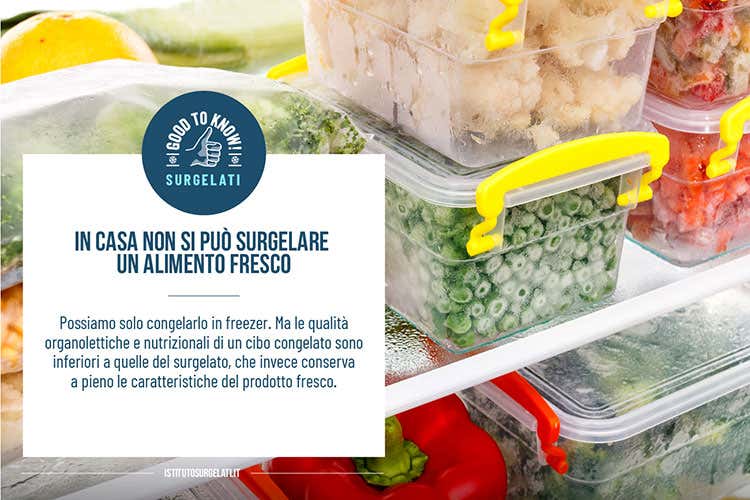 (A casa non si può surgelare Si può solo congelare in freezer) (A casa non si può surgelare Si può solo congelare in freezer)