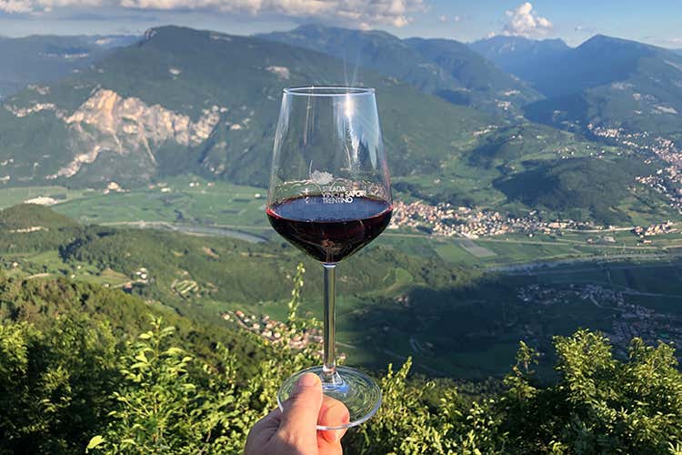 Appuntamento dall'1 all'11 ottobre - A tutto Marzemino, dieci giorni alla scoperta di vino e territorio