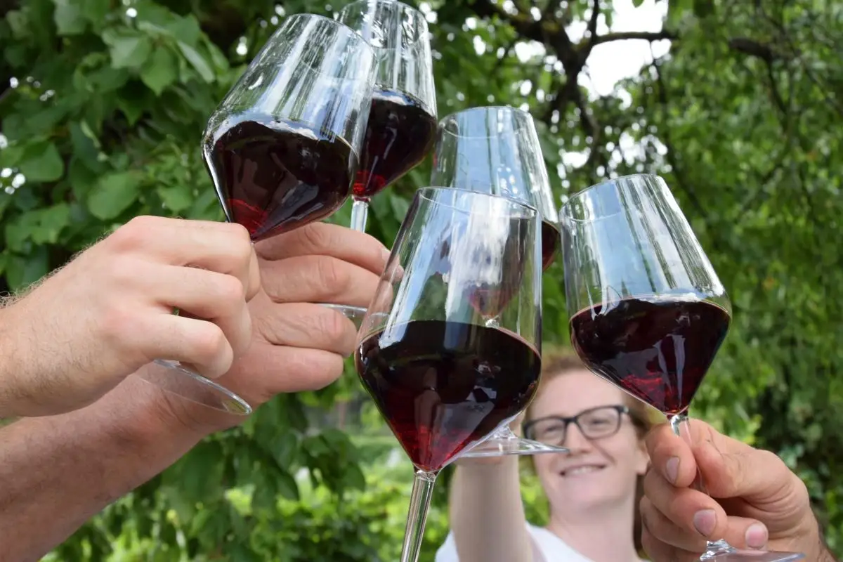 Chianti Doc, dalla Toscana ecco il via libera al cambio del disciplinare
