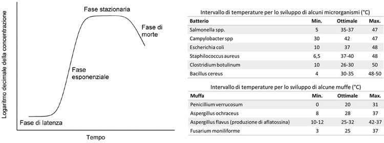 Crescita microbica in funzione del tempo | Crescita microbica in funzione della temperatura (Abbattere i cibi Garanzia igienica dei prodotti)