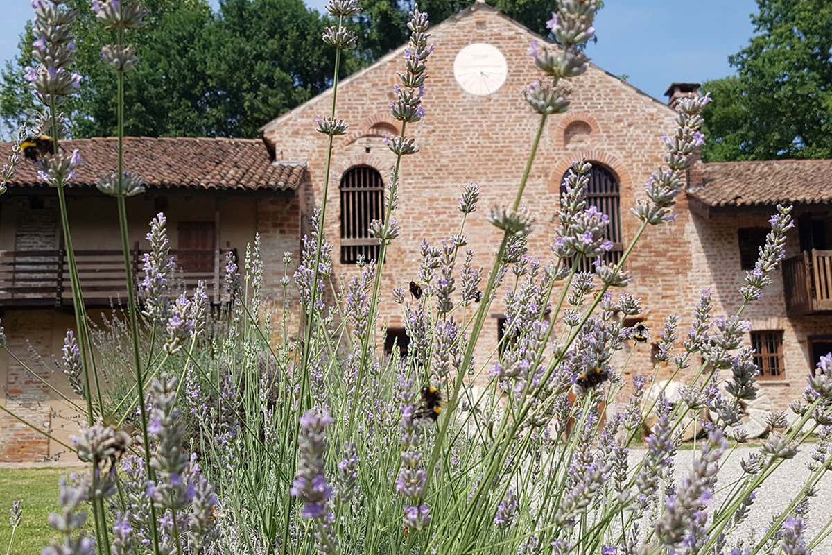 Il borgo di Chiaravalle con al centro l'Abbazia Un borgo agreste accanto a Milano? Vieni con noi a Chiaravalle Il borgo di Chiaravalle con al centro l'Abbazia Un borgo agreste accanto a Milano? Vieni con noi a Chiaravalle